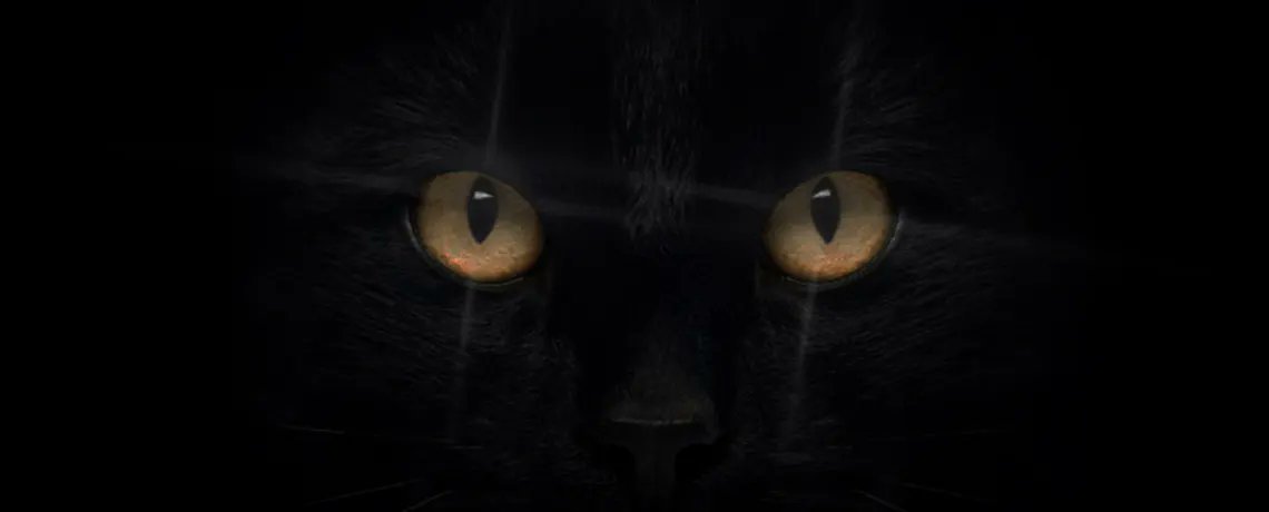 Passer sous une échelle, croiser un chat noir ou encore redouter d’être envoûté-e... Toutes ces croyances sont emblématiques d’un domaine particulier : la superstition...  

► blog-rose-croix.fr/a-propos-de-la…
