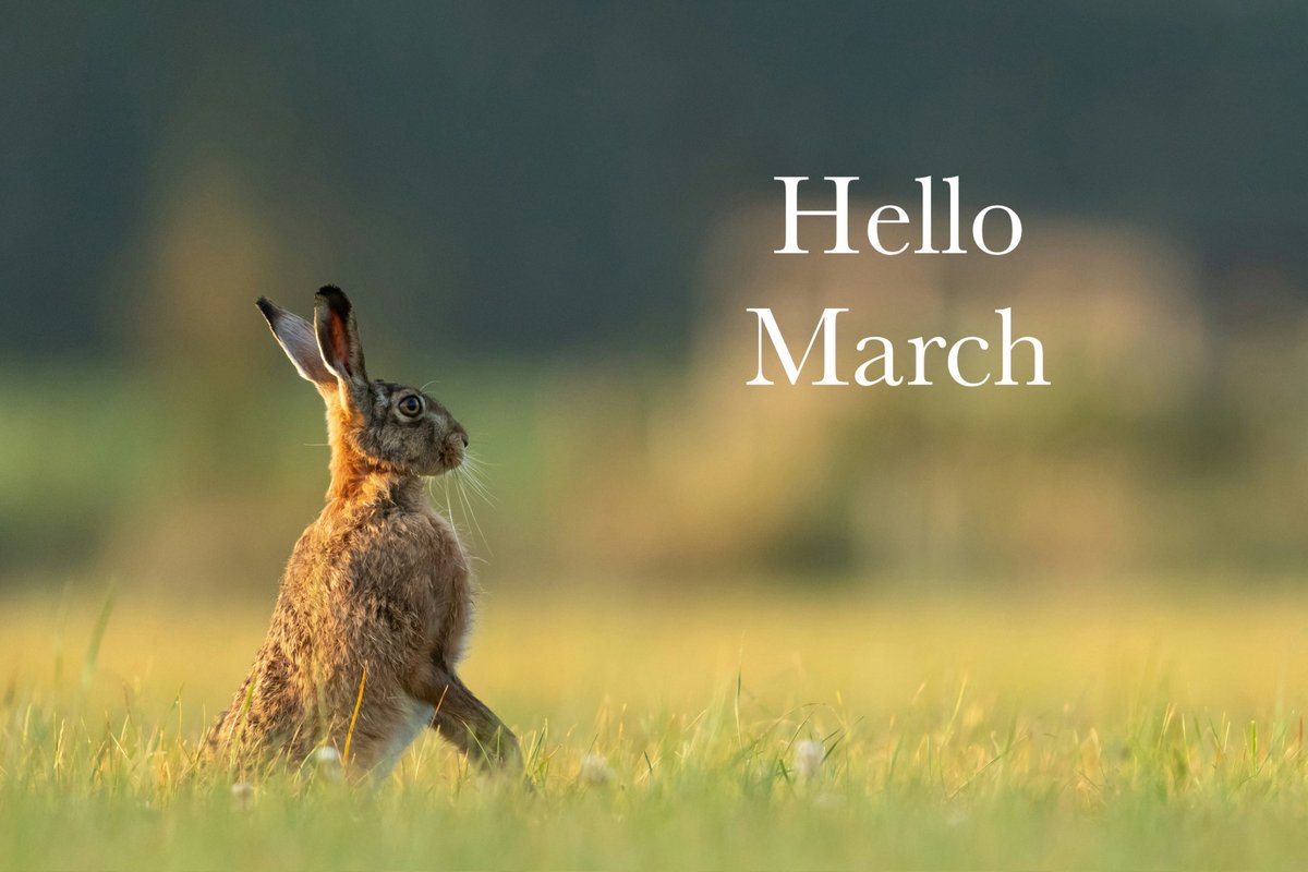 Pagan Dawn magazine (@pagandawnmag) on Twitter photo 