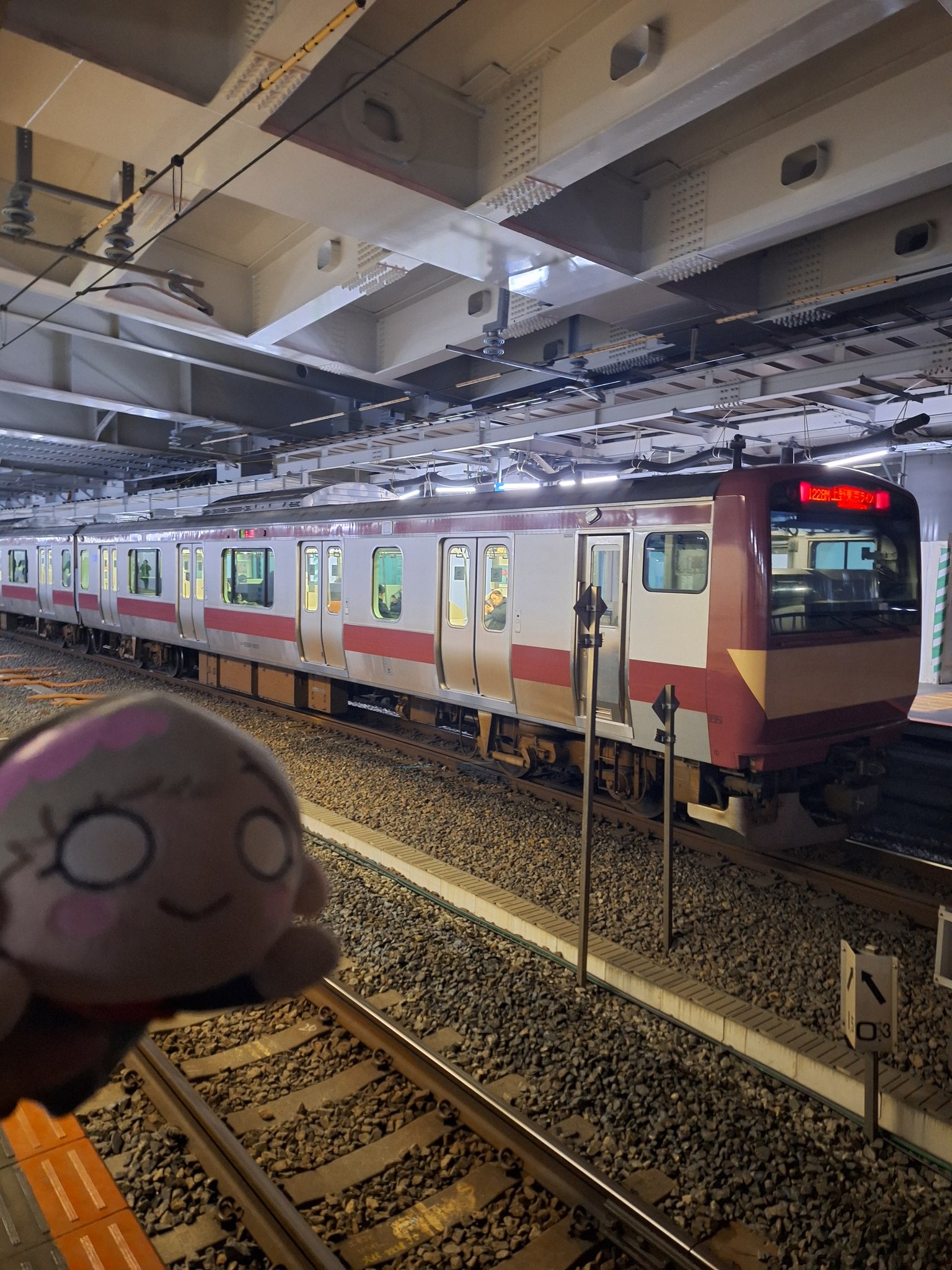 つっしー على X: 