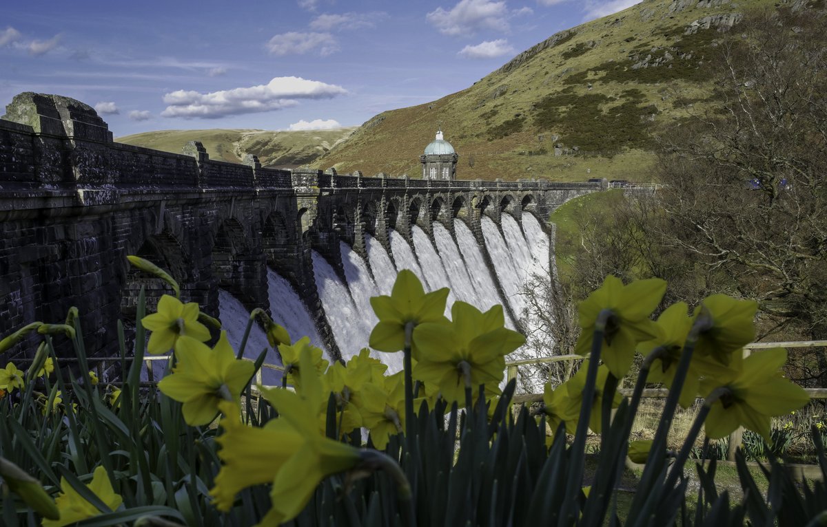 JNCC_UK's tweet image. Dydd Gŵyl Dewi Hapus! 🏴󠁧󠁢󠁷󠁬󠁳󠁿 Happy #StDavidsDay to all our colleagues &amp;amp; friends in Wales!

#DyddGŵylDewi #GwnewchyPethauBychain #DoTheLittleThings