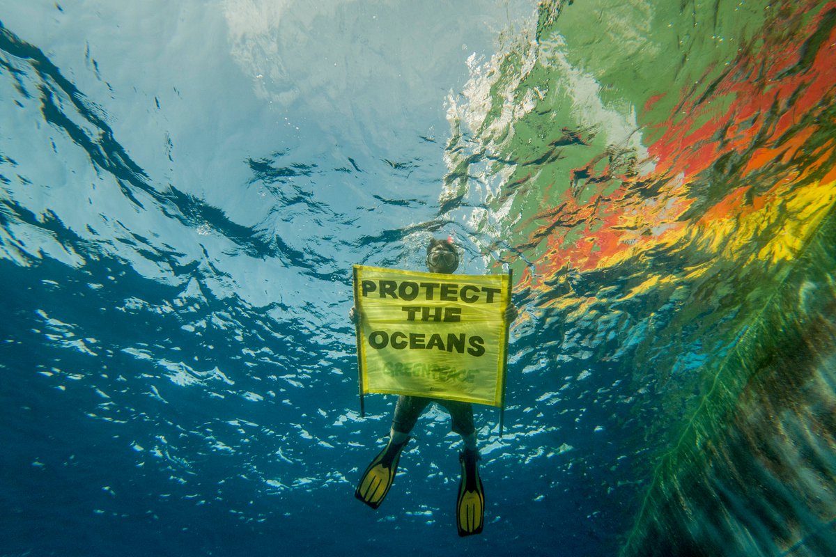 Two-thirds of Brits demand government action to protect high seas as the historic Global Ocean Treaty turns one year old on Monday greenpeace.org.uk/news/two-third…
