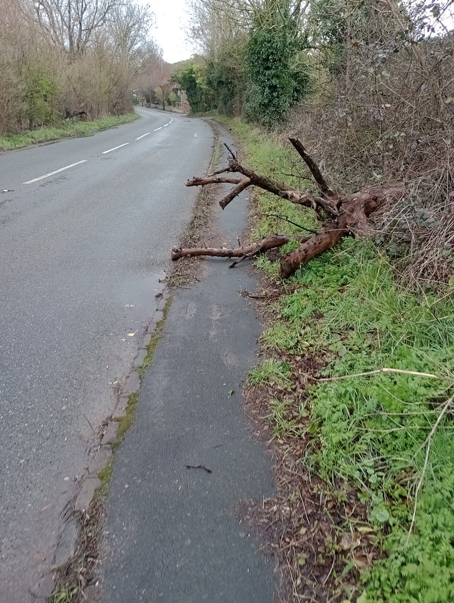GarrettCarole's tweet photo. @LewesDC just to make you aware there is a tree stump with branches blocking the walkway on the C7 near the cemetery.
Pedestrians have to go in the road to pass it! https://t.co/RaHTSeWNtc