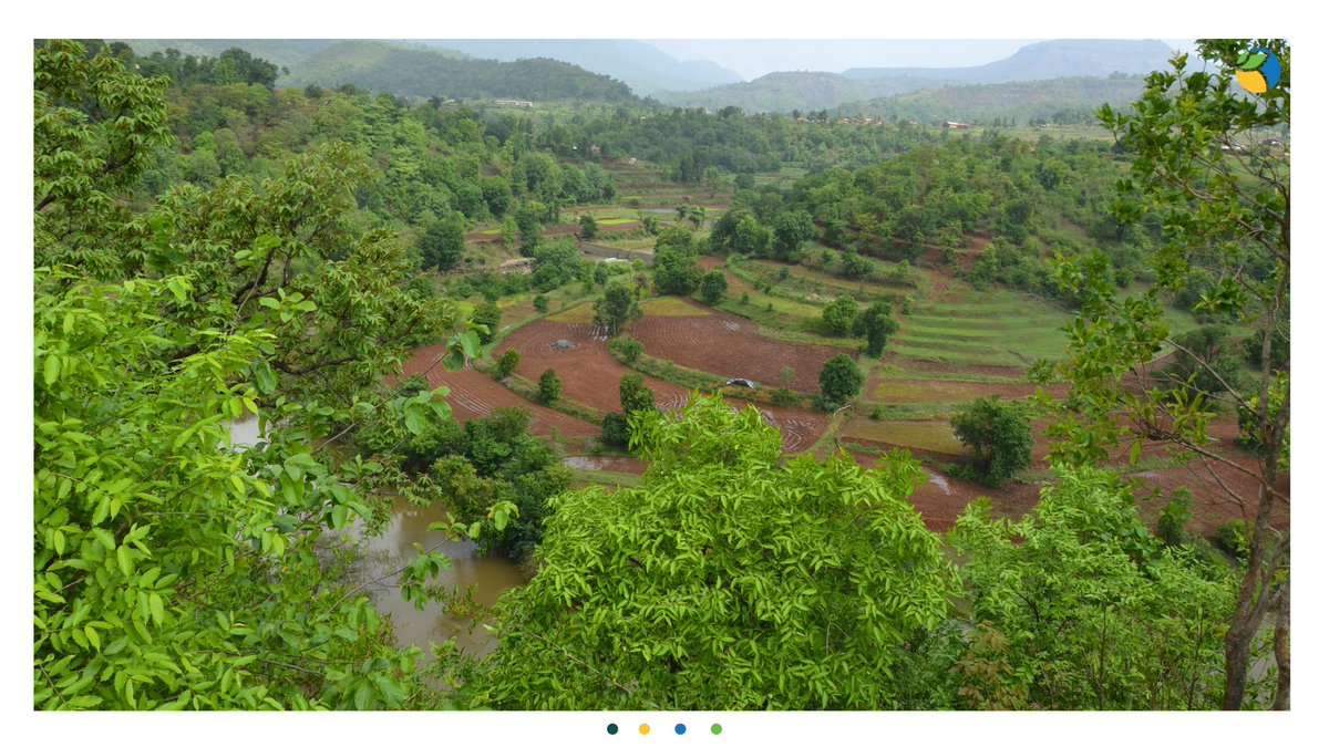 WOTRIndia's tweet image. Preserving rural biodiversity is key to resilience against climate change. WOTR leads the charge with community-driven conservation practices, creating sustainable ecosystems and resilient livelihoods. 🌍

Learn more: shorturl.at/pB567

#WOTR4Development #WOTRat30