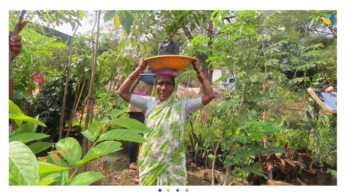 WOTRIndia's tweet image. Preserving rural biodiversity is key to resilience against climate change. WOTR leads the charge with community-driven conservation practices, creating sustainable ecosystems and resilient livelihoods. 🌍

Learn more: shorturl.at/pB567

#WOTR4Development #WOTRat30