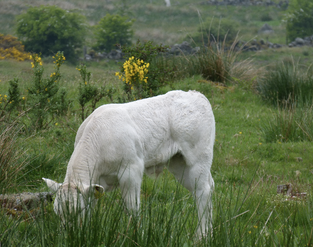 Michael Priestley tweet media