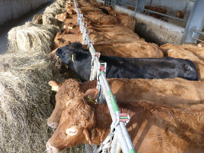 Michael Priestley tweet media