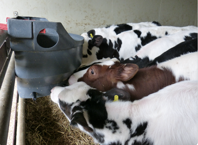 Michael Priestley tweet media