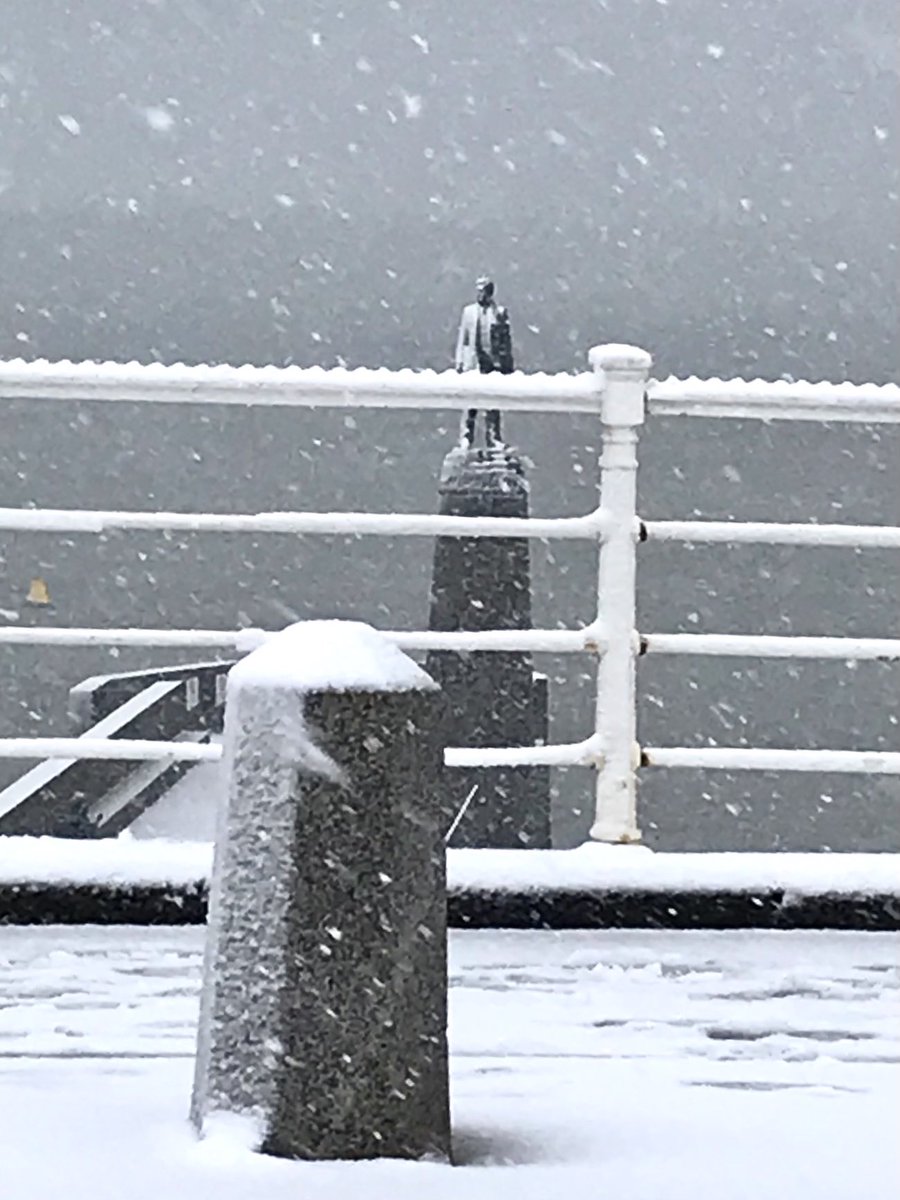 Sonya Gildea* tweet media