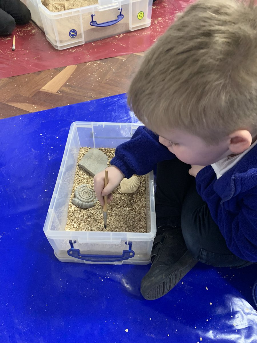 DeltaWillowsAc's tweet photo. Year 1 have loved recapping their history learning in the dinosaur workshop this morning! #priorlearning #dinosaurs #fossils #history https://t.co/q3XTcaCgZU
