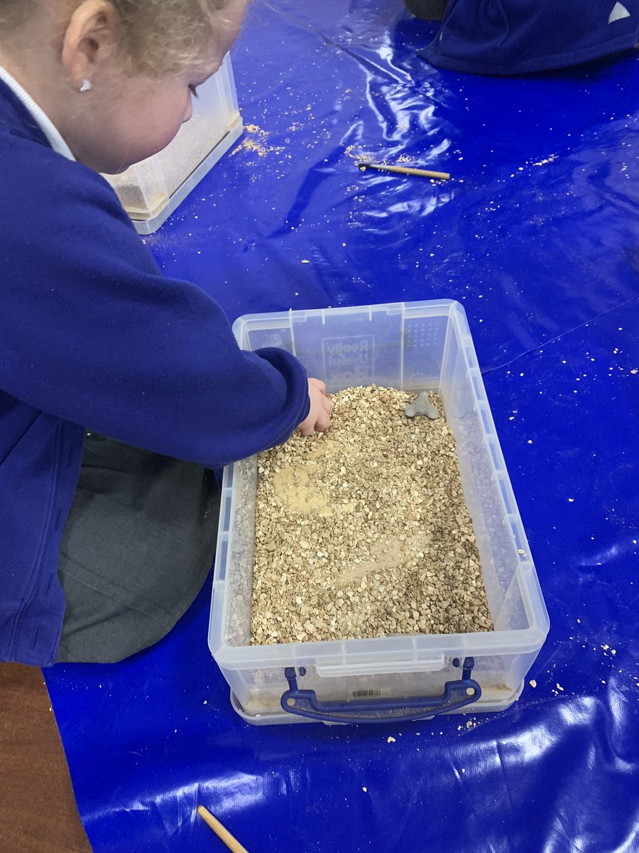 DeltaWillowsAc's tweet photo. Year 1 have loved recapping their history learning in the dinosaur workshop this morning! #priorlearning #dinosaurs #fossils #history https://t.co/q3XTcaCgZU