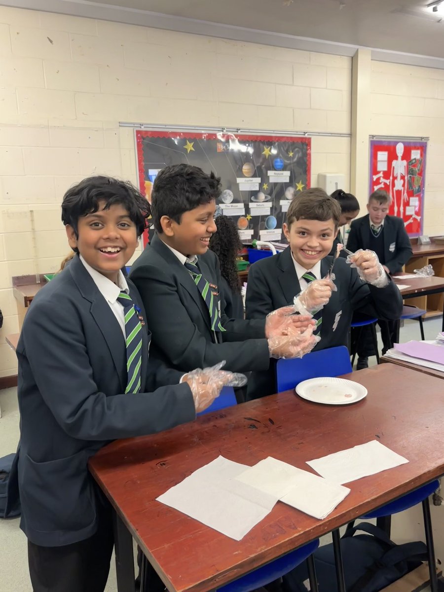 SpringwestScience (@springwestsci) on Twitter photo Lots of smiles and fun whilst dissecting chicken wings in year 7! π₯Όπ§βπ¬ <a href="/SpringwestA/">Springwest Academy π</a> Lots of smiles and fun whilst dissecting chicken wings in year 7! π₯Όπ§βπ¬ <a href="/SpringwestA/">Springwest Academy π</a>