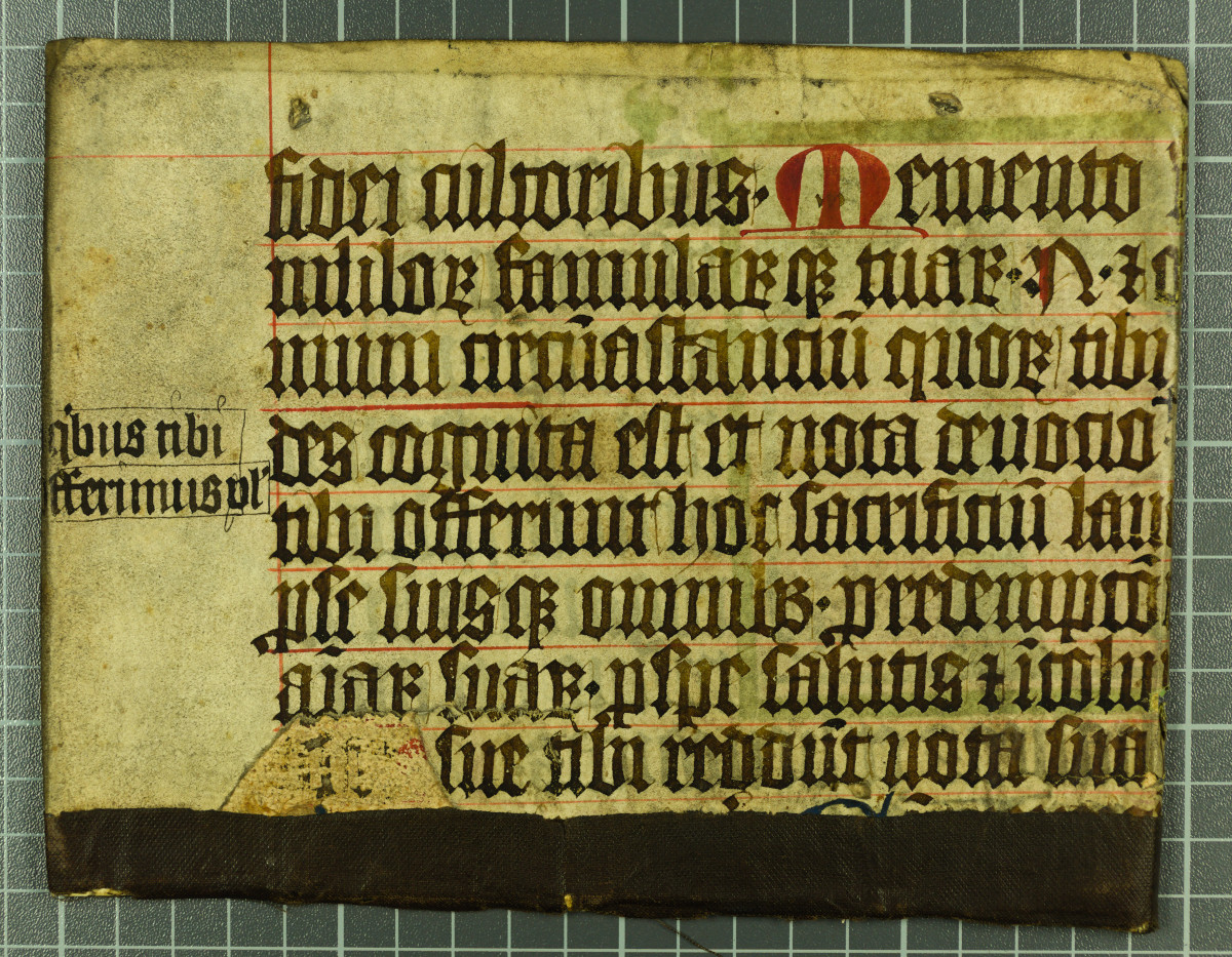 Adam Gibson (@adam_p_gibson) on Twitter photo Calling <a href="/KelmClassDept/">Kelmscott Classics Dept</a>! I've been imaging a book with <a href="/UCLSpecColl/">UCL Special Collections</a>. The book is 17th Century, but the cover is made from a medieval manuscript in Latin. I can't read Latin. I can read "Memento" on the top but then I get stuck. Can any #Kelmscotties help with reading it please? Calling <a href="/KelmClassDept/">Kelmscott Classics Dept</a>! I've been imaging a book with <a href="/UCLSpecColl/">UCL Special Collections</a>. The book is 17th Century, but the cover is made from a medieval manuscript in Latin. I can't read Latin. I can read "Memento" on the top but then I get stuck. Can any #Kelmscotties help with reading it please?