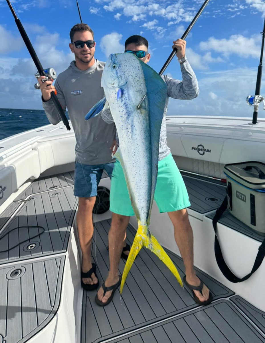 Wow, check out this #mahimahi catch #hookandtackle #fishingapparel #fish #fishin #fishing #angler #fisherman #fishinglife #dolphin #dorado