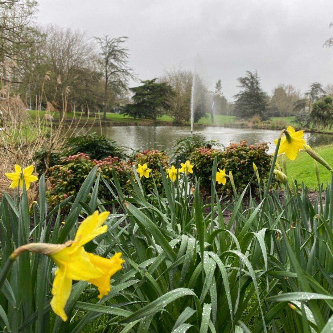 It's a rainy Friday here in Surrey, but we're still looking out for the first signs of spring! We're looking forward to the weekend and sunnier days ahead. #foreversurrey