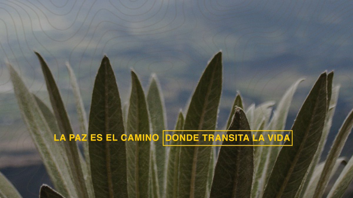 RenovacionCo's tweet image. #TerritoriosDeVida La Paz es el camino donde transita la vida, por eso desde el #GobiernoDelCambio y la @RenovacionCo queremos invitarlos a #transformar  nuestros territorios para que juntos hagamos florecer el País de la Belleza. 🇨🇴