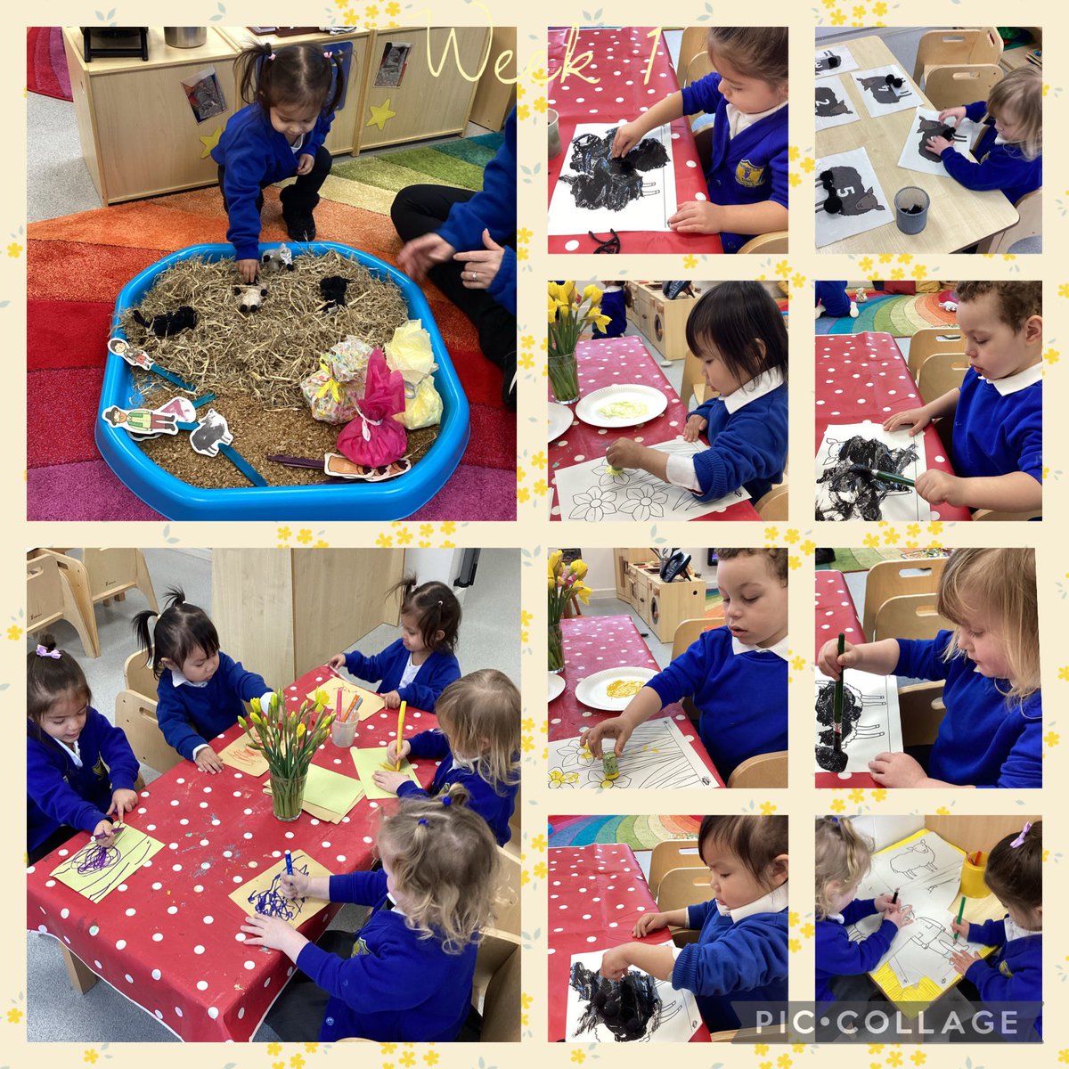 In the Rainbow room this week we have been focusing on Spring and Baa baa black sheep. We have been looking at all the different spring animals and flowers such as Daffodils 🌼 
Have a great weekend, from the Rainbow room 🌈🌼🐰🐥🐑