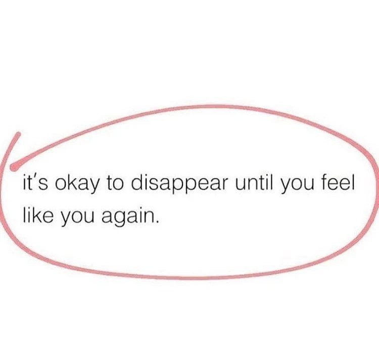 wise_chimp's tweet photo. It's okay.. https://t.co/r9bC5nKFDj