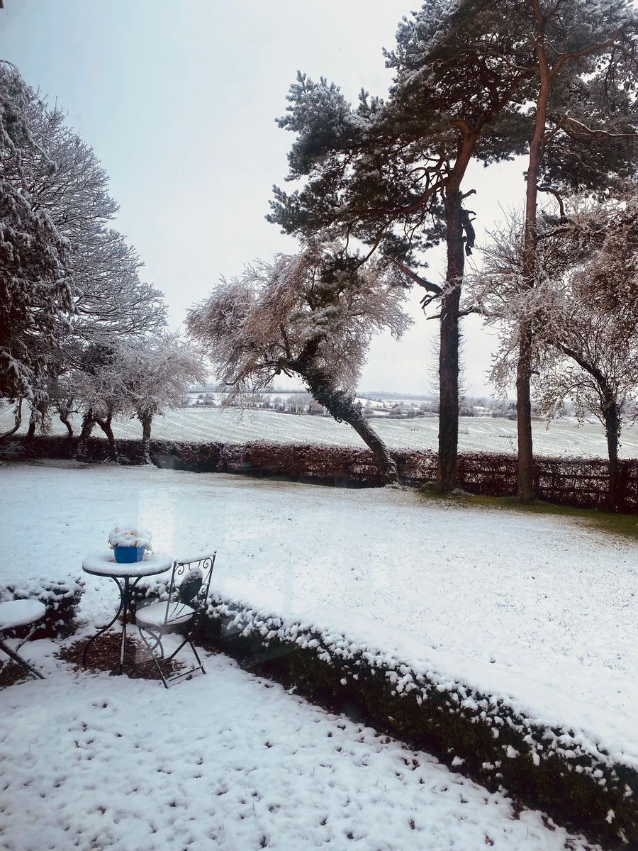 ‘Winterwood’ - it can be yours! Book a viewing with us….
myhome.ie/residential/br…