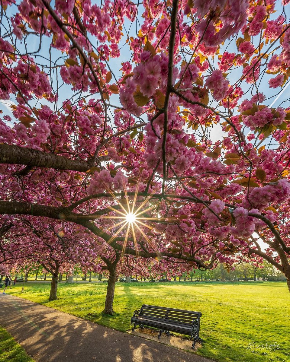 Pinch, Punch, First of the month, Happy 1st of March Everyone. 😊 I hope this new month is happy, healthy &amp; prosperous  for all of you. 💞🌸💕 #March1st #HappyNewMonth