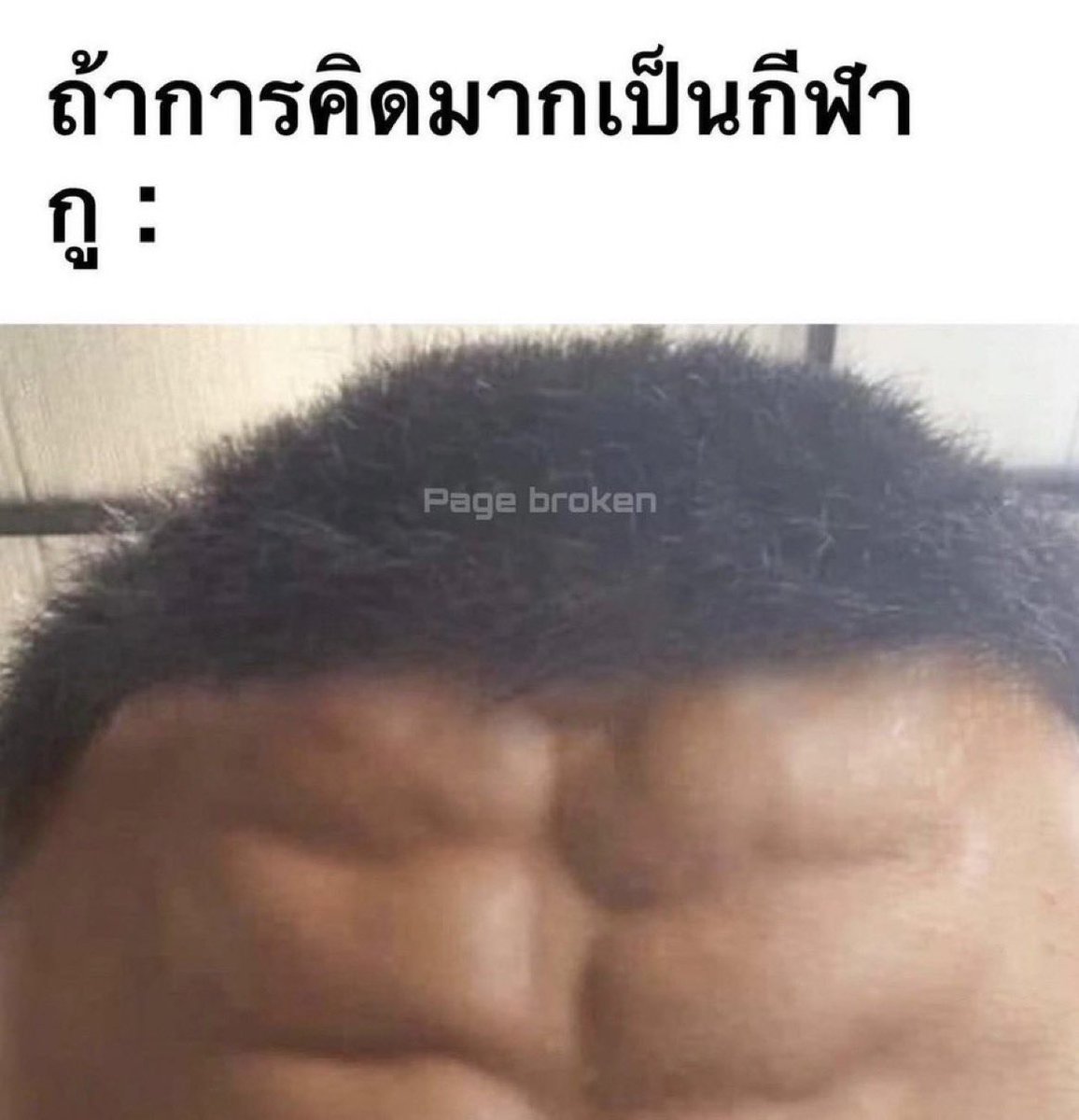 ช่างแม่ง🐰🏳️‍🌈 tweet media