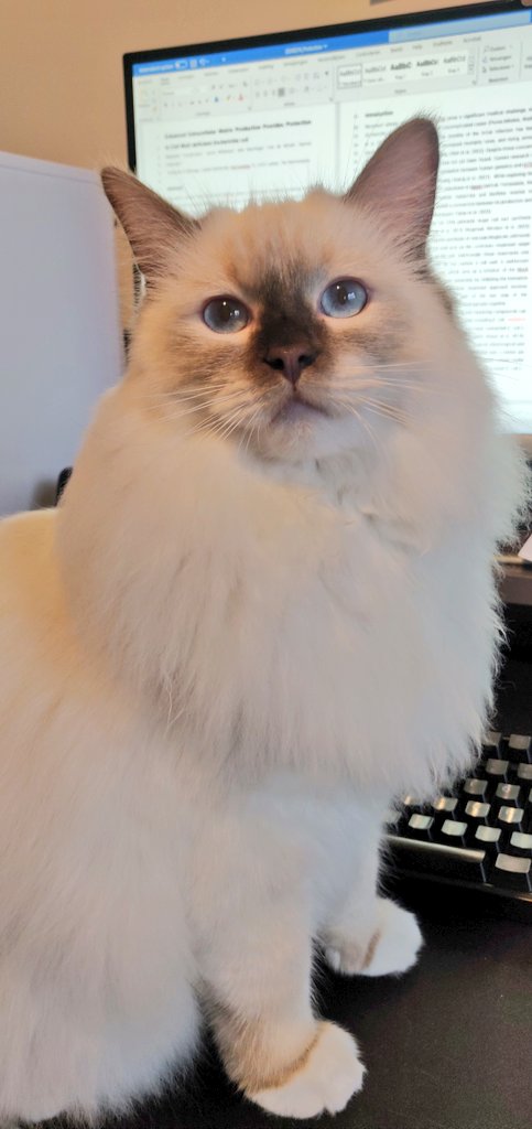 Marjolein Crooijmans tweet media