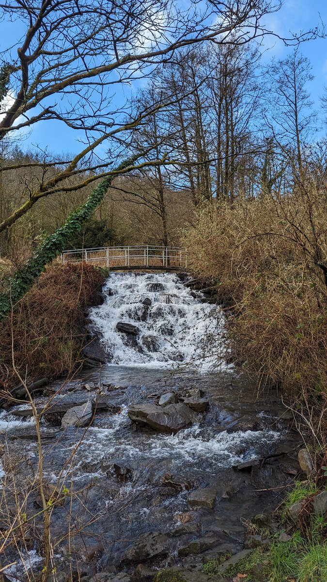 A chilly but glorious morning in Cwmsaerbren woods this morning 😊
<a href="/W_2_R_Woods/">Welcome To Our Woods</a> <a href="/RhonddaSkyline/">Rhondda Skyline</a> <a href="/DerekTheWeather/">Derek Brockway - weatherman</a> <a href="/bbcweather/">BBC Weather</a> <a href="/BBCWthrWatchers/">BBC Weather Watchers</a> <a href="/S4Ctywydd/">S4C Tywydd</a>