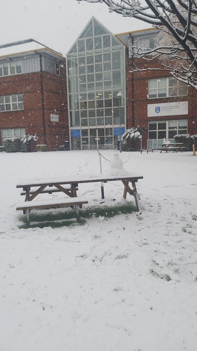 A rare sight of a snowman outside the Trinity Centre St James's today! @TrinityMed1 @tcddublin