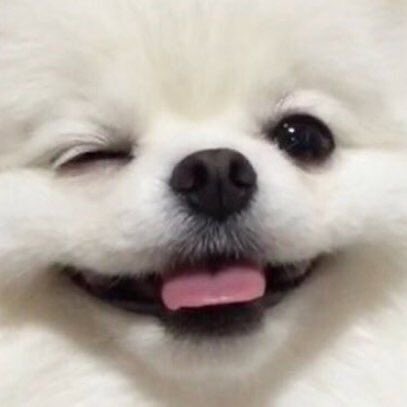 끼 부리는 것좀 봐