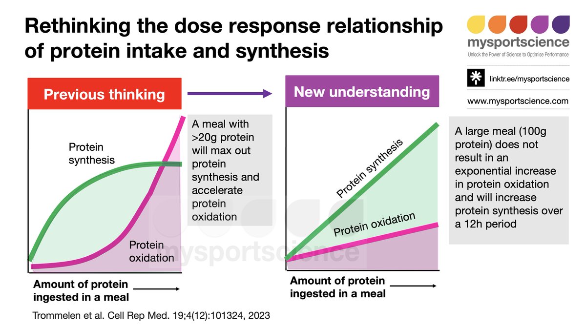 NEW blog: Rethinking protein intake needs bit.ly/3wsIgWS In this blog, @JornTrommelen describes findings from his recent work investigating the dose response relationship between protein intake and protein synthesis. Can we use more than we once thought?