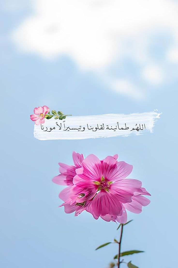 hanenhanem's tweet photo. #جمعه_مباركه https://t.co/Vd9qNxB7dm