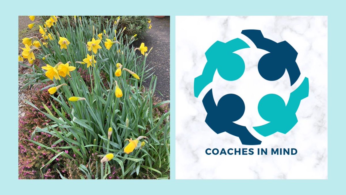 Happy St David’s. In today’s Friday Thoughts, I wish #RCMWalesConf a successful day. I talk about Spring and the importance of nurturing at linktr.ee/coachesinmind

⁦@Denise_Linay59⁩