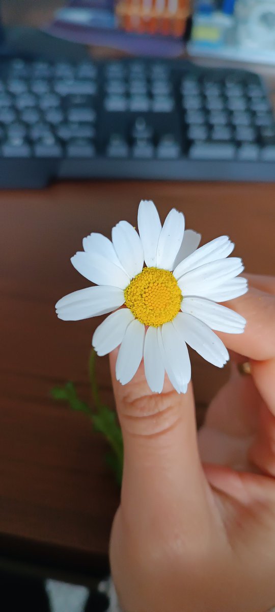 Köyde Bir Öğretmen (@mlkogretmen1) on Twitter photo 