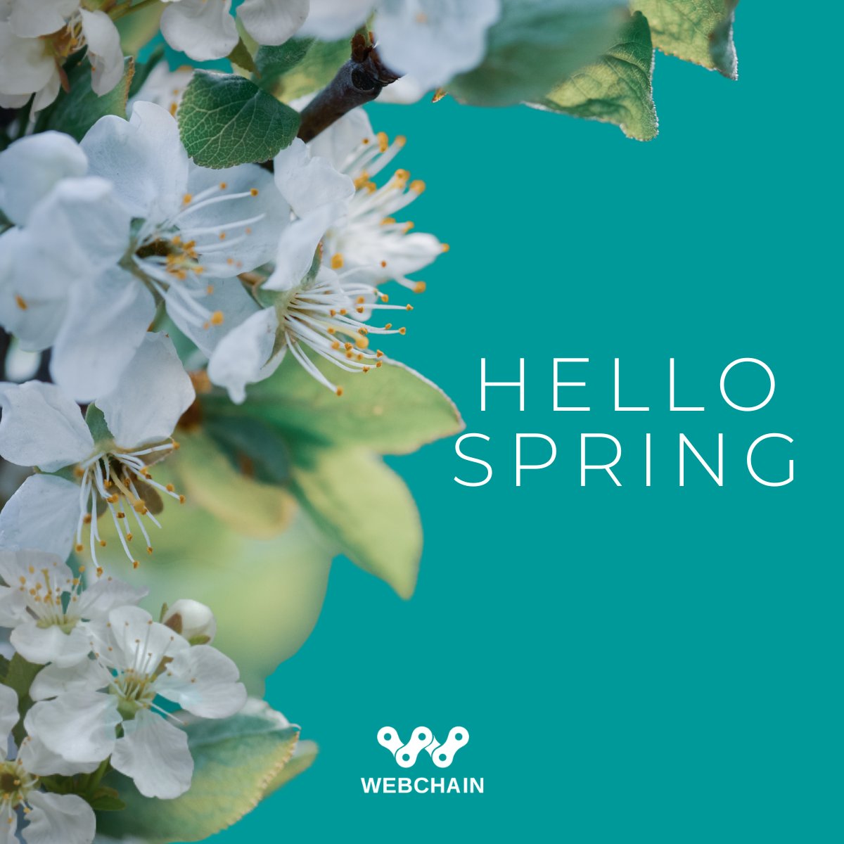 Happy first day of spring, everyone! ☀️  Here's to a season filled with joy, positivity, and endless possibilities!   

#springishere #firstdayofspring #webchainromania