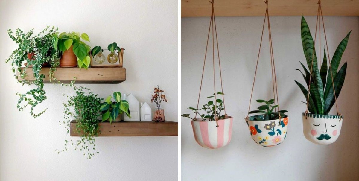 5 ideas para embellecer tus paredes con plantas colgantes dlvr.it/T3Sw69