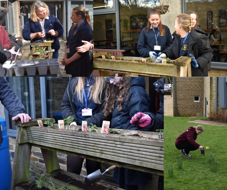 Northern Star ITT tweet media