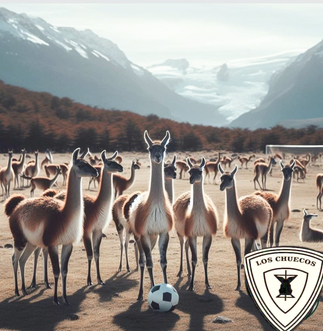 Listos para entrar a la cancha