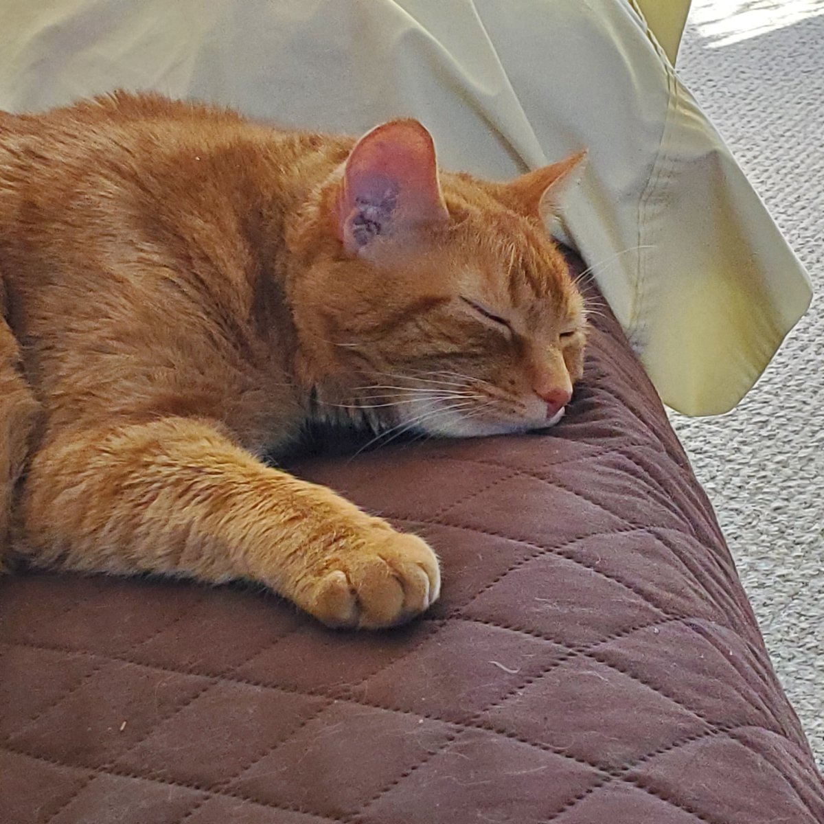 theukpa86's tweet image. #Wednesdayvibe #HelloMarch #waitingforSpring