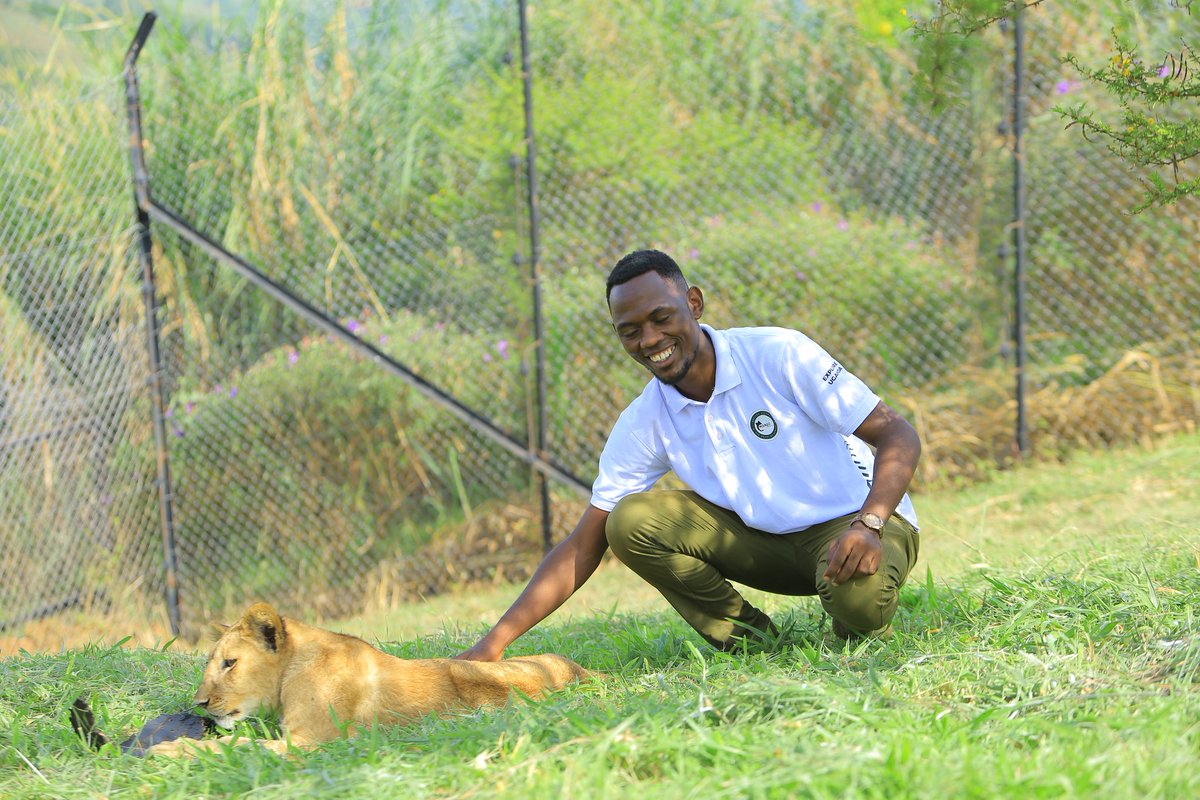 KanyesigyeEd's tweet photo. In the kingdom of life, be a lion β fearless, regal, and always ready to defend the territory of your dreams.
π: @ctcconservation
Whatsapp to Book;+256-750997788
πΈ: of course @marvinmiles256
#VisitCTC #ExploreUganda https://t.co/JLaQ60KFxb