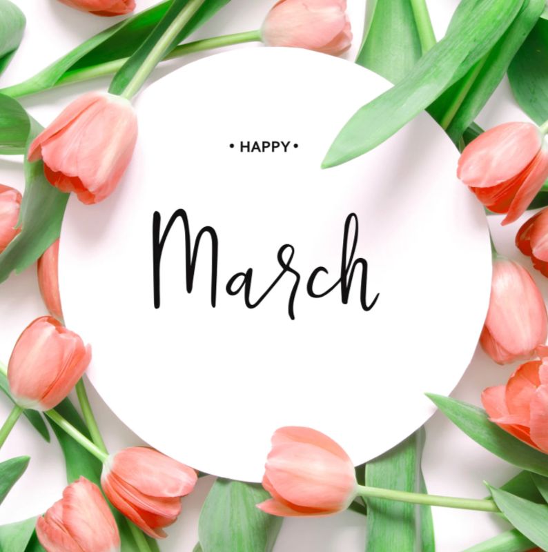 Hello March ✨