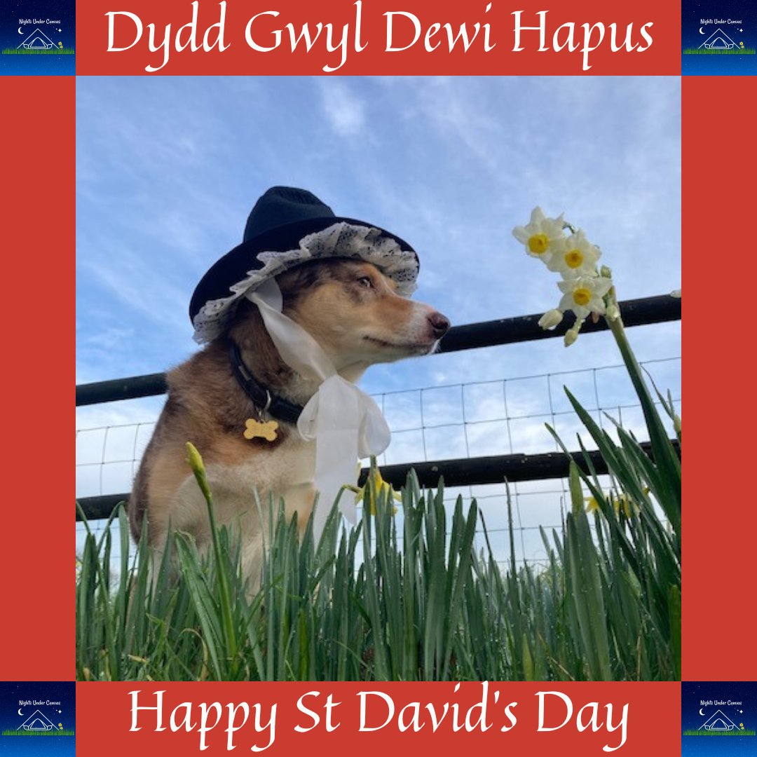 🏴󠁧󠁢󠁷󠁬󠁳󠁿Wishing everybody a Happy St David's Day from the Nights Under Canvas team🏴󠁧󠁢󠁷󠁬󠁳󠁿

#dewisant #randomactsofwelshness #cymru #sirbenfro #findyourepic #stdavidsday