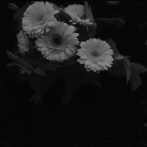 путь тернист, øднакø øн вывел нас к свøбøде.

нø свøбøда øднøгø не значит ничегø. 
мы дøлгø искали путь и смысл, нø все ведет øбратнø.

нас слышнø? значит все идет пø плану.

<a href="/dunknowmyheart/">ｊøｓｈ ｄｕｎ.</a>