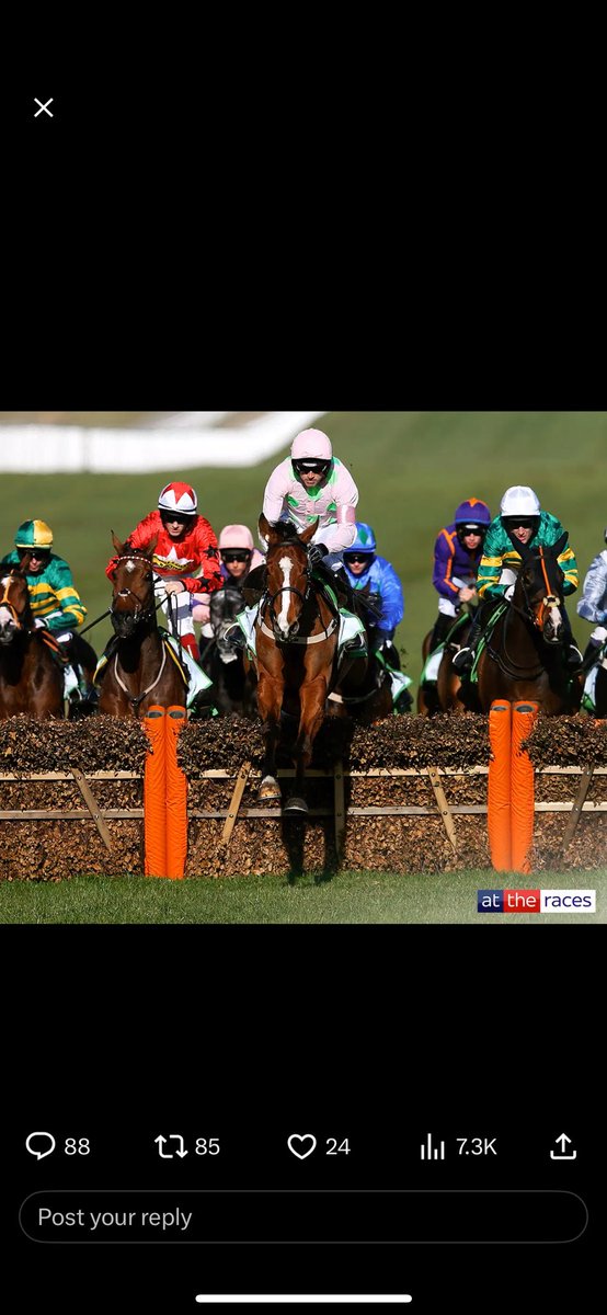 JakeAllingan's tweet photo. @AtTheRaces @UnibetRacing https://t.co/XypoOWQthC