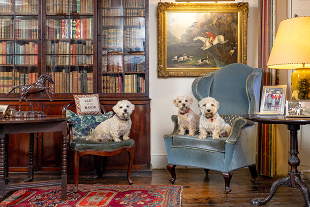 From treasured terriers to cherished corgis, these precious small dogs and pampered pooches are the ultimate country house companions trib.al/p6QZ9Gk