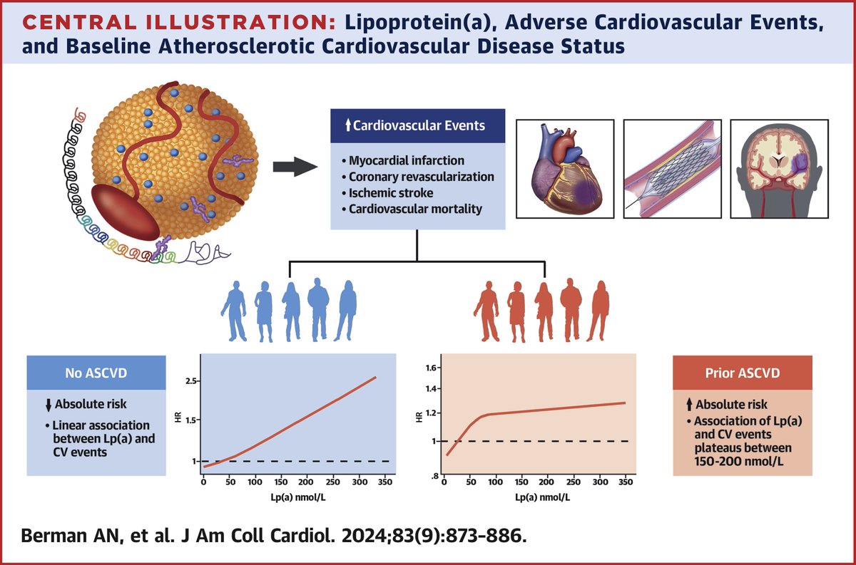 In a large US cohort, Lp(a) was assoc w/ #MACE but there was a plateau in risk at the ~70th percentile for those w/ baseline #ASCVD

In contrast, those w/out baseline ASCVD, there was a more linear ⬆️ in risk. Thus, the Lp(a) threshold for risk assessment may differ based on