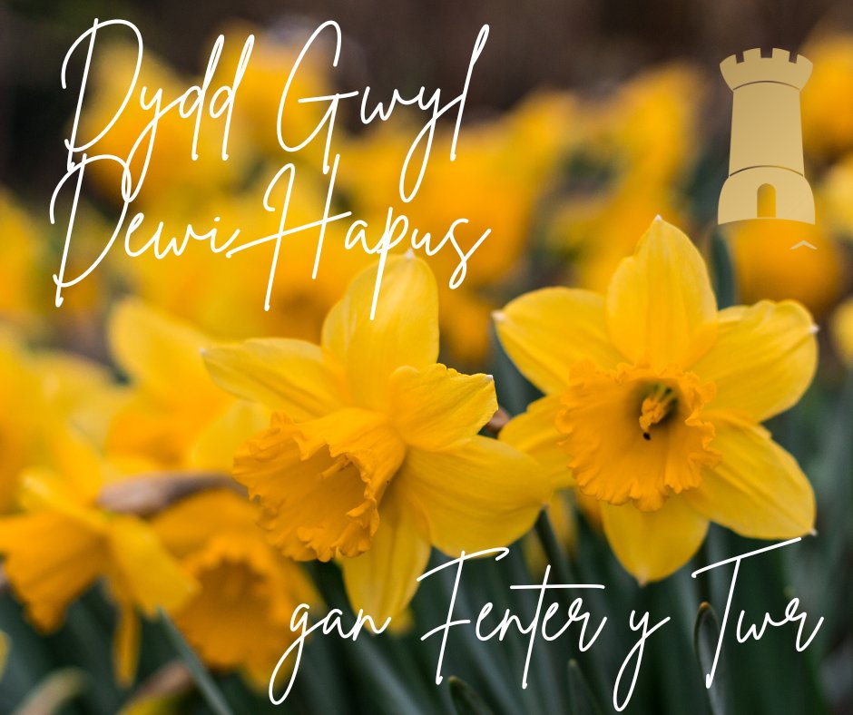 Happy St David's day!
 
Come to the open day tomorrow 11-3.  It will be one of the last, if not the last opportunity for the public to see the building as it is before work begins.