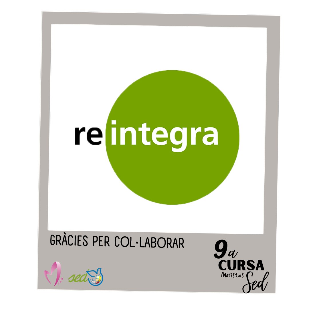 Cursa SED Lleida tweet media