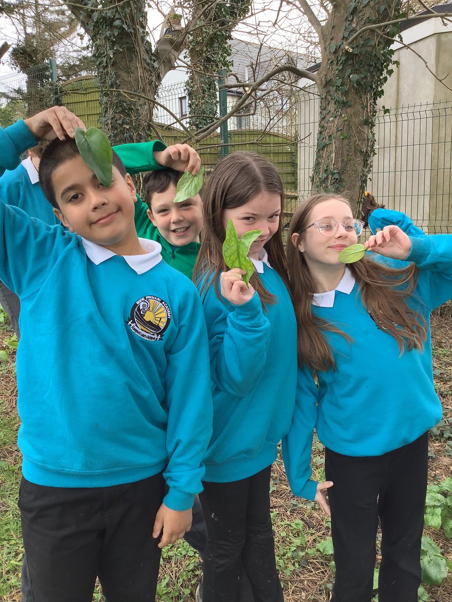 Bude Primary Academy - Juniors tweet media