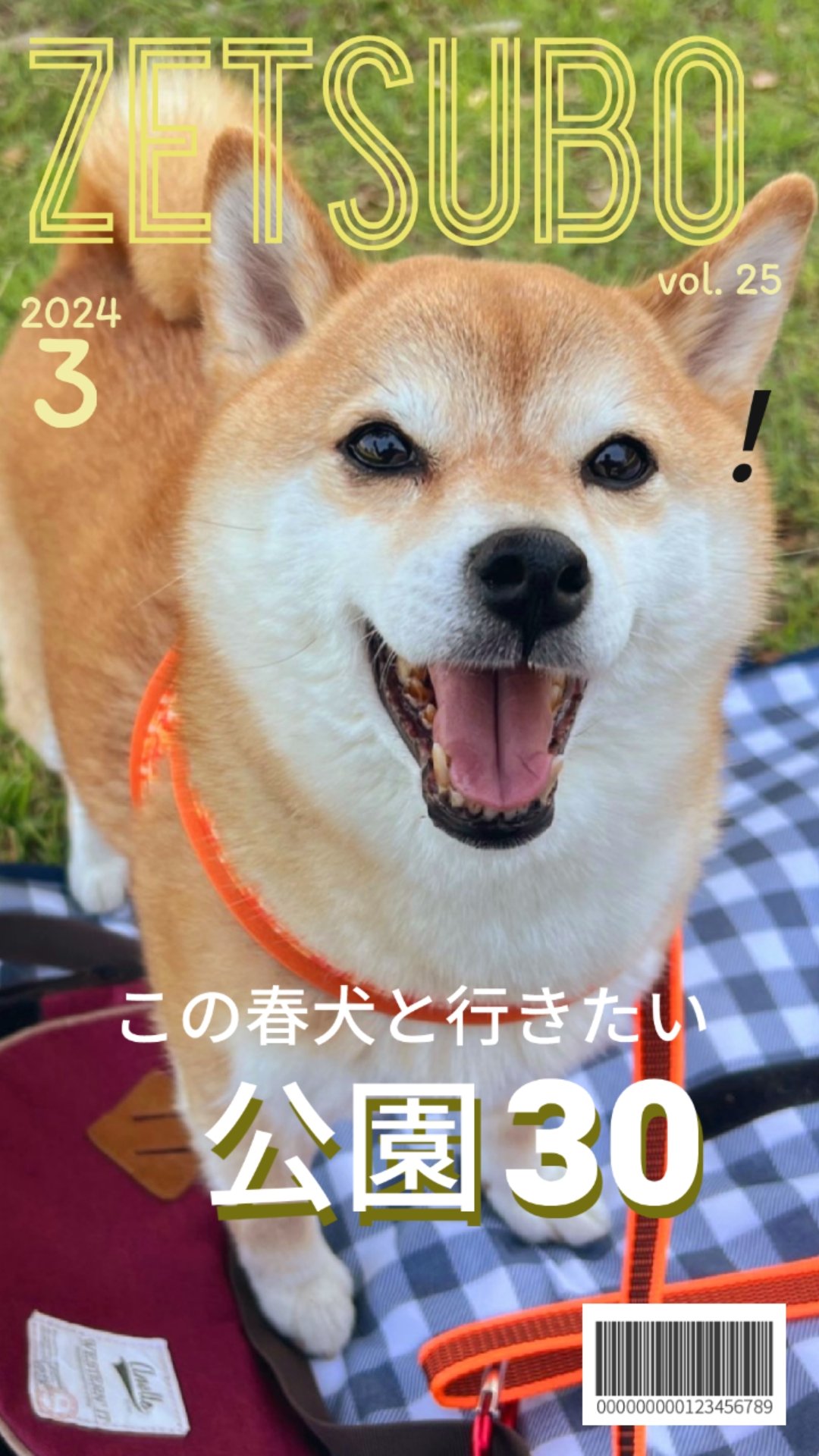 いぬ hq720.jpg?sqp=-