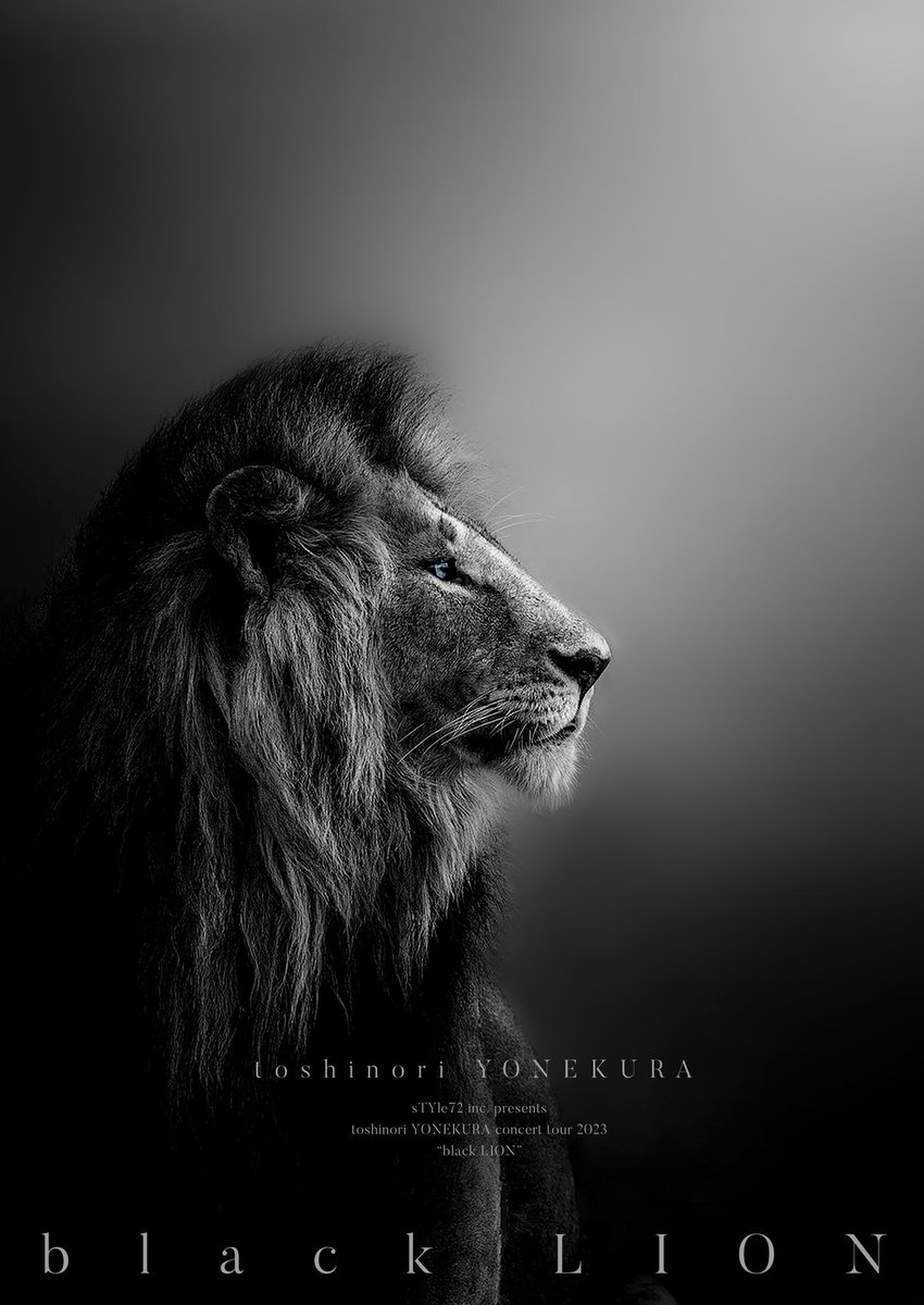 米倉利紀/back in town 2009 DVD 2枚セット 米倉利紀/back in town 2009 DVD 2枚セット ミュージック