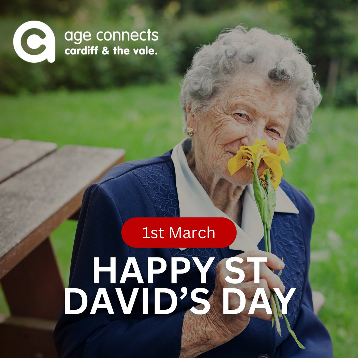 Happy St. David’s from all of us at Age Connects Cardiff and The Vale 🏴󠁧󠁢󠁷󠁬󠁳󠁿❤️

Wishing everyone a day filled with Welsh culture and kindness!

#ageconnects #accv #cardiffandvale #stdavidsday #happystdavidsday #welshculture #wales #welshcharity #kindness